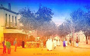 SAIDA AVENUE GARE